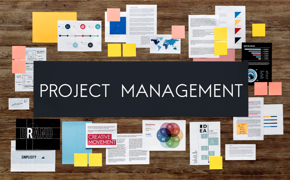 Project Management Consultancy Services