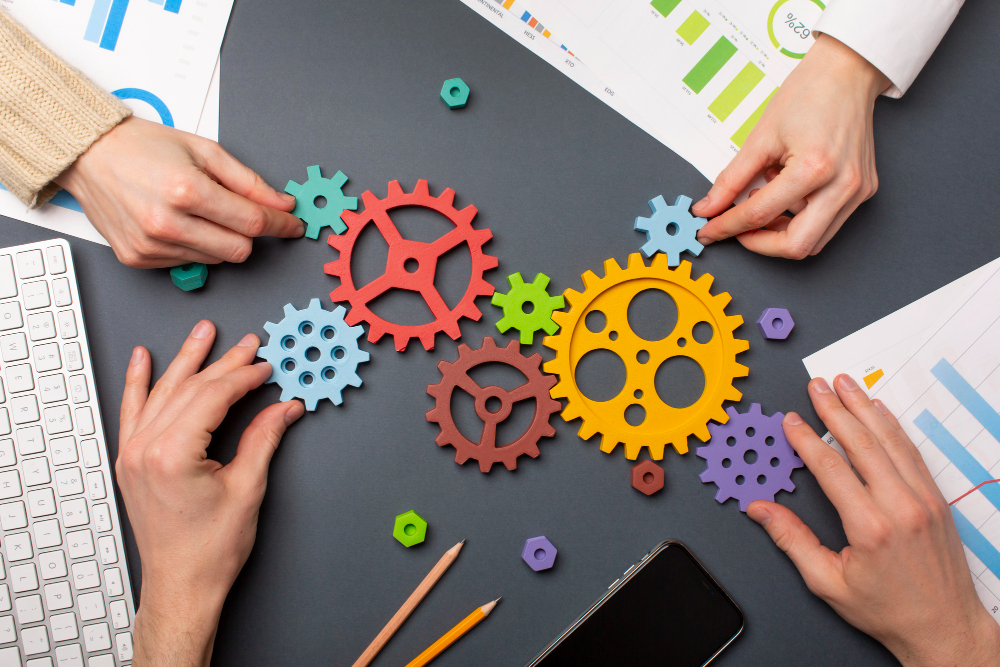 Institutional & Capacity Development Services
